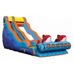 Big Kahuna Wet/Dry Slide - Party Hoppers LLC